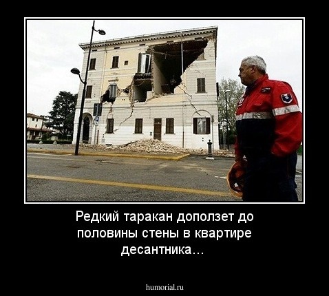 Редкий таракан доползет до половины стены в квартире десантника...