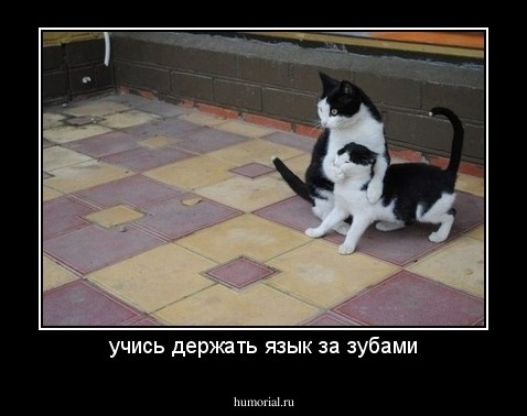 учись держать язык за зубами