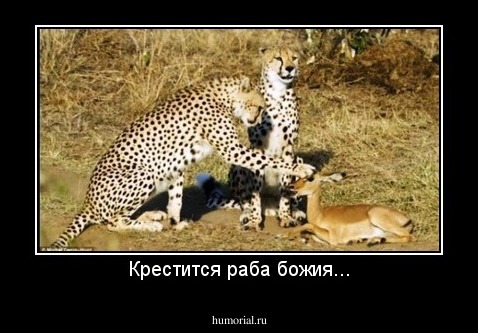 Крестится раба божия...