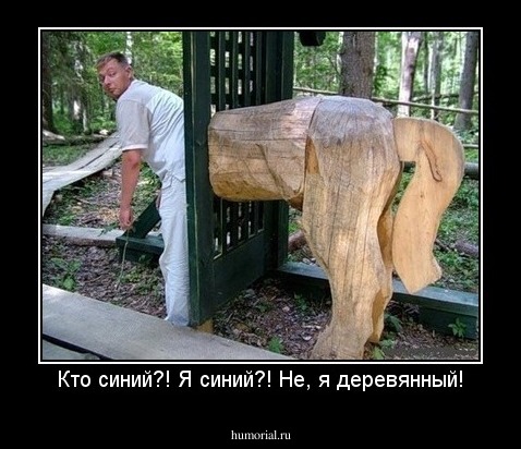 Кто синий?! Я синий?! Не, я деревянный!