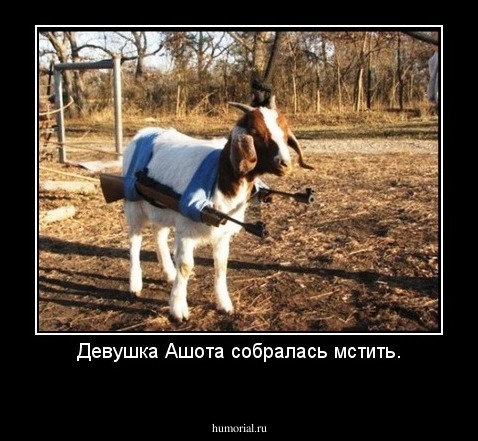 Девушка Ашота собралась мстить.
