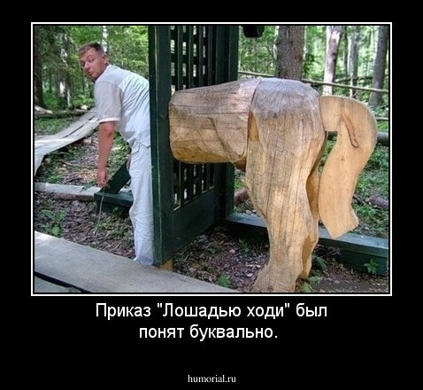 Приказ "Лошадью ходи" был понят буквально.
