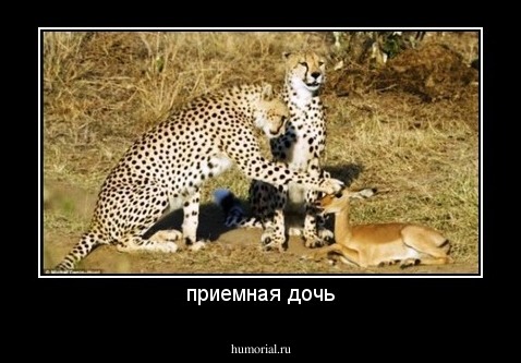приемная дочь