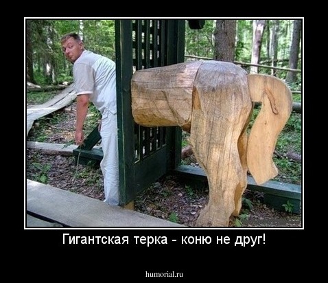 Гигантская терка - коню не друг!