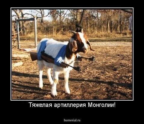 Тяжелая артиллерия Монголии!