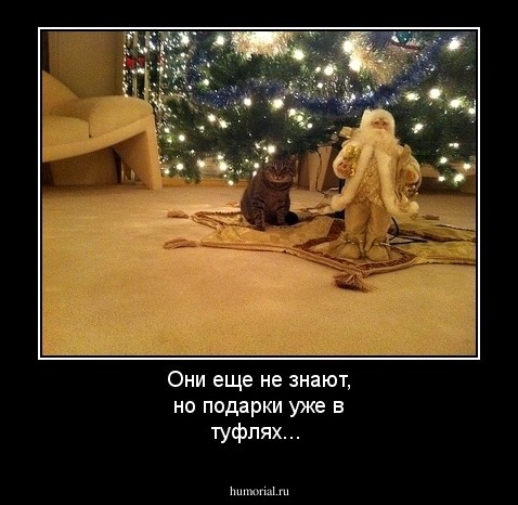 Они еще не знают, но подарки уже в туфлях...