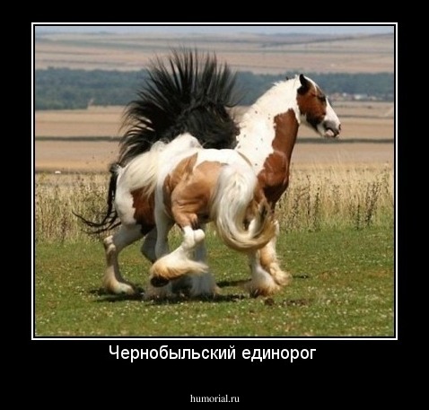Чернобыльский единорог 