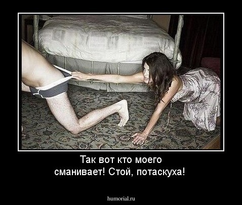 Так вот кто моего сманивает! Стой, потаскуха!