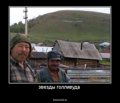 звезды голливуда 