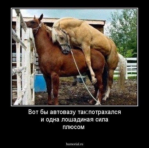 Вот бы автовазу так:потрахался и одна лошадиная сила плюсом