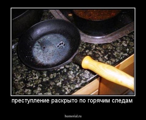 преступление раскрыто по горячим следам 