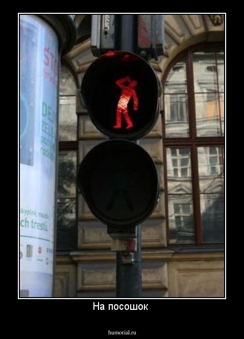 На посошок 