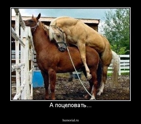 А поцеловать...