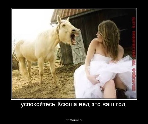 успокойтесь Ксюша вед это ваш год 