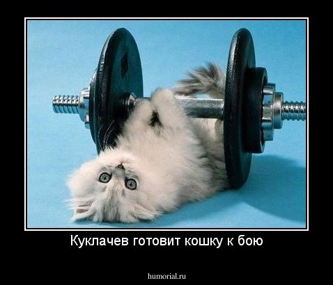 Куклачев готовит кошку к бою