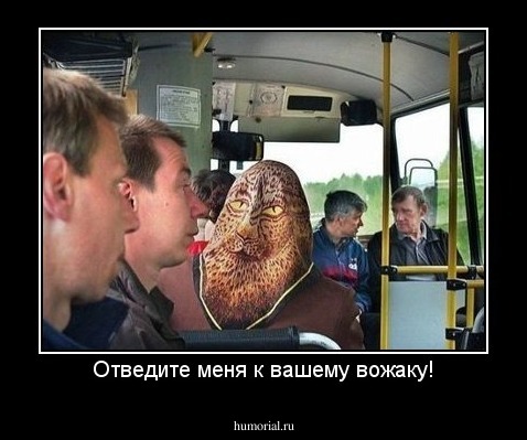 Отведите меня к вашему вожаку!