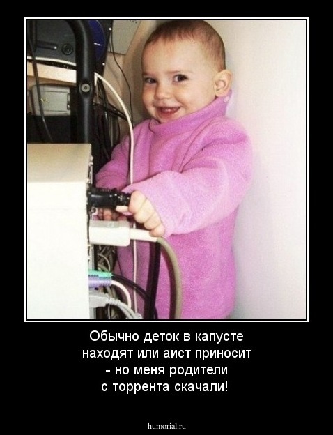 Обычно деток в капусте находят или аист приносит - но меня родители с торрента скачали!