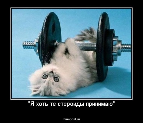 "Я хоть те стероиды принимаю"