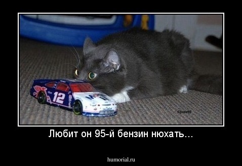 Любит он 95-й бензин нюхать...