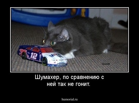 Шумахер, по сравнению с ней так не гонит.