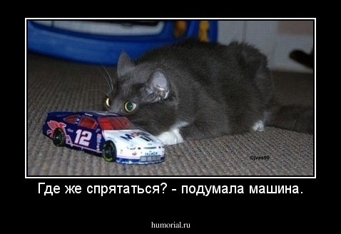 Где же спрятаться? - подумала машина.