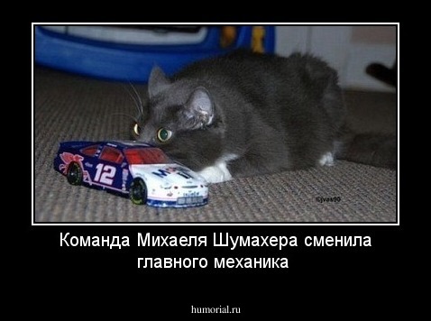Команда Михаеля Шумахера сменила главного механика