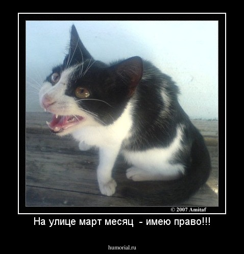 На улице март месяц  - имею право!!!
