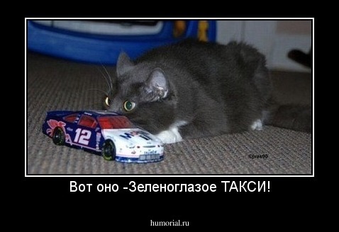 Вот оно -Зеленоглазое ТАКСИ!