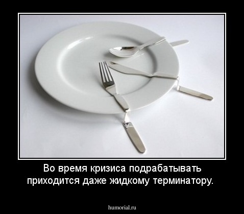 Во время кризиса подрабатывать приходится даже жидкому терминатору.