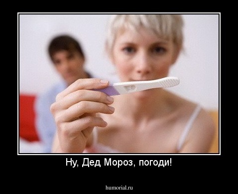 Ну, Дед Мороз, погоди!