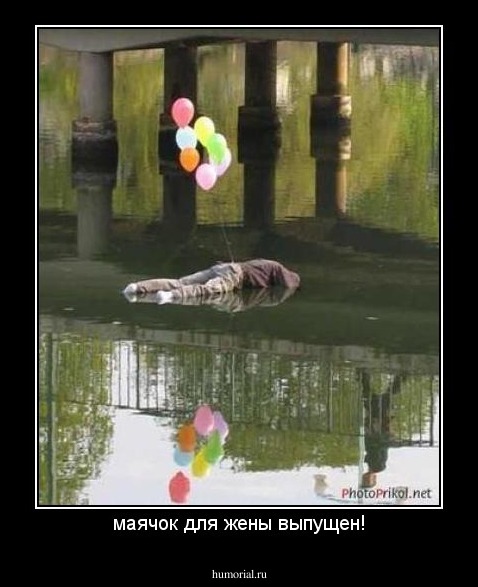 маячок для жены выпущен!