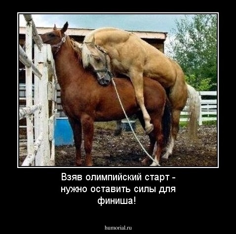 Взяв олимпийский старт - нужно оставить силы для финиша!