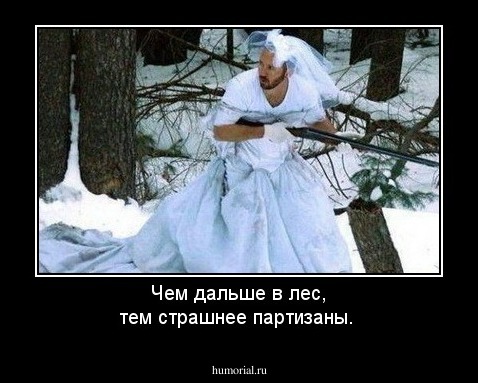 Чем дальше в лес, тем страшнее партизаны.