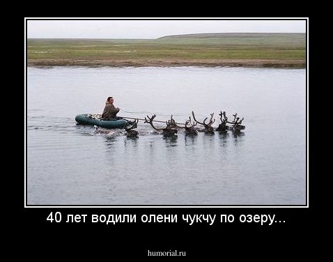 40 лет водили олени чукчу по озеру...