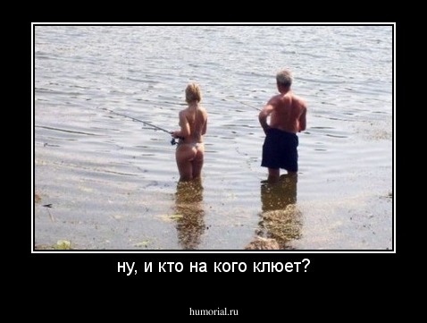 ну, и кто на кого клюет?