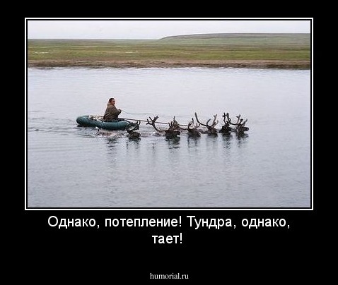 Однако, потепление! Тундра, однако, тает!