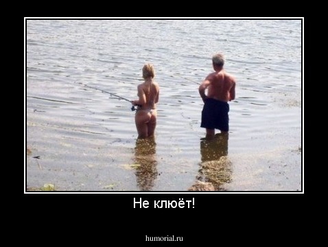 Не клюёт!