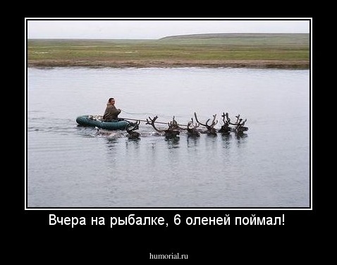 Вчера на рыбалке, 6 оленей поймал! 