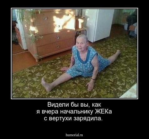 Видели бы вы, как я вчера начальнику ЖЕКа с вертухи зарядила.