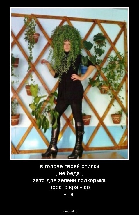 в голове твоей опилки , не беда , зато для зелени подкормка просто кра - со - та 
