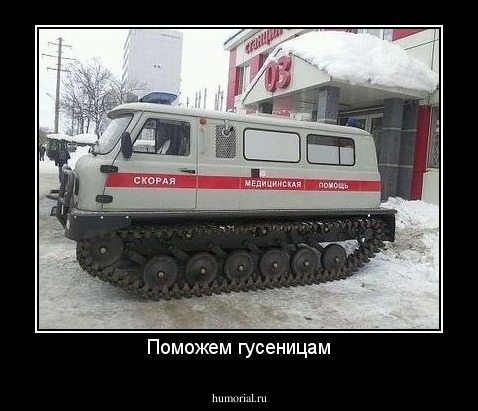 Поможем гусеницам