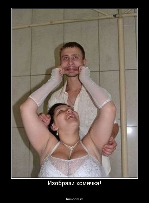 Изобрази хомячка!