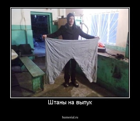 Штаны на выпук