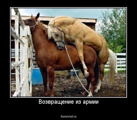 Возвращение из армии