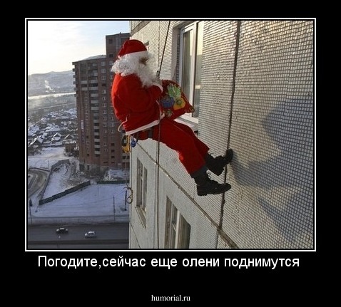 Погодите,сейчас еще олени поднимутся 
