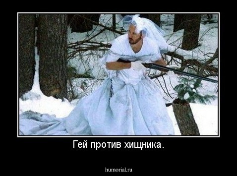 Гей против хищника.