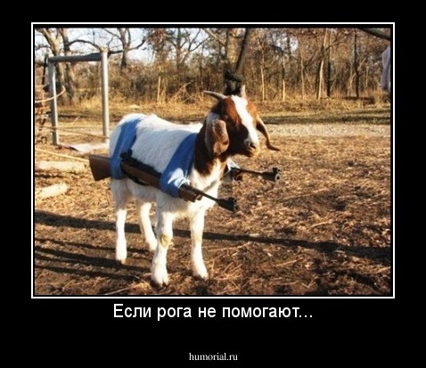 Если рога не помогают...