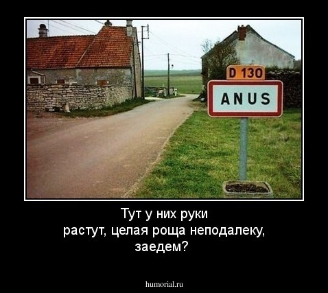 Тут у них руки растут, целая роща неподалеку, заедем?