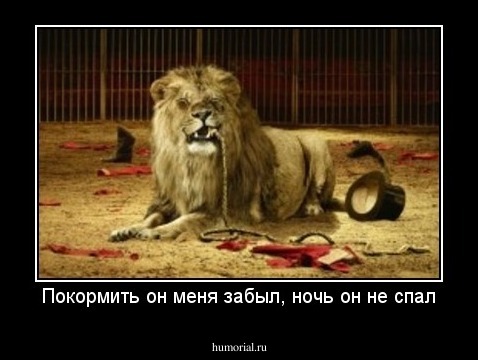 Покормить он меня забыл, ночь он не спал