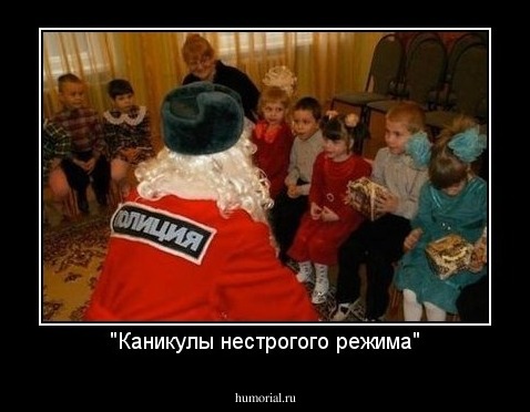 "Каникулы нестрогого режима"